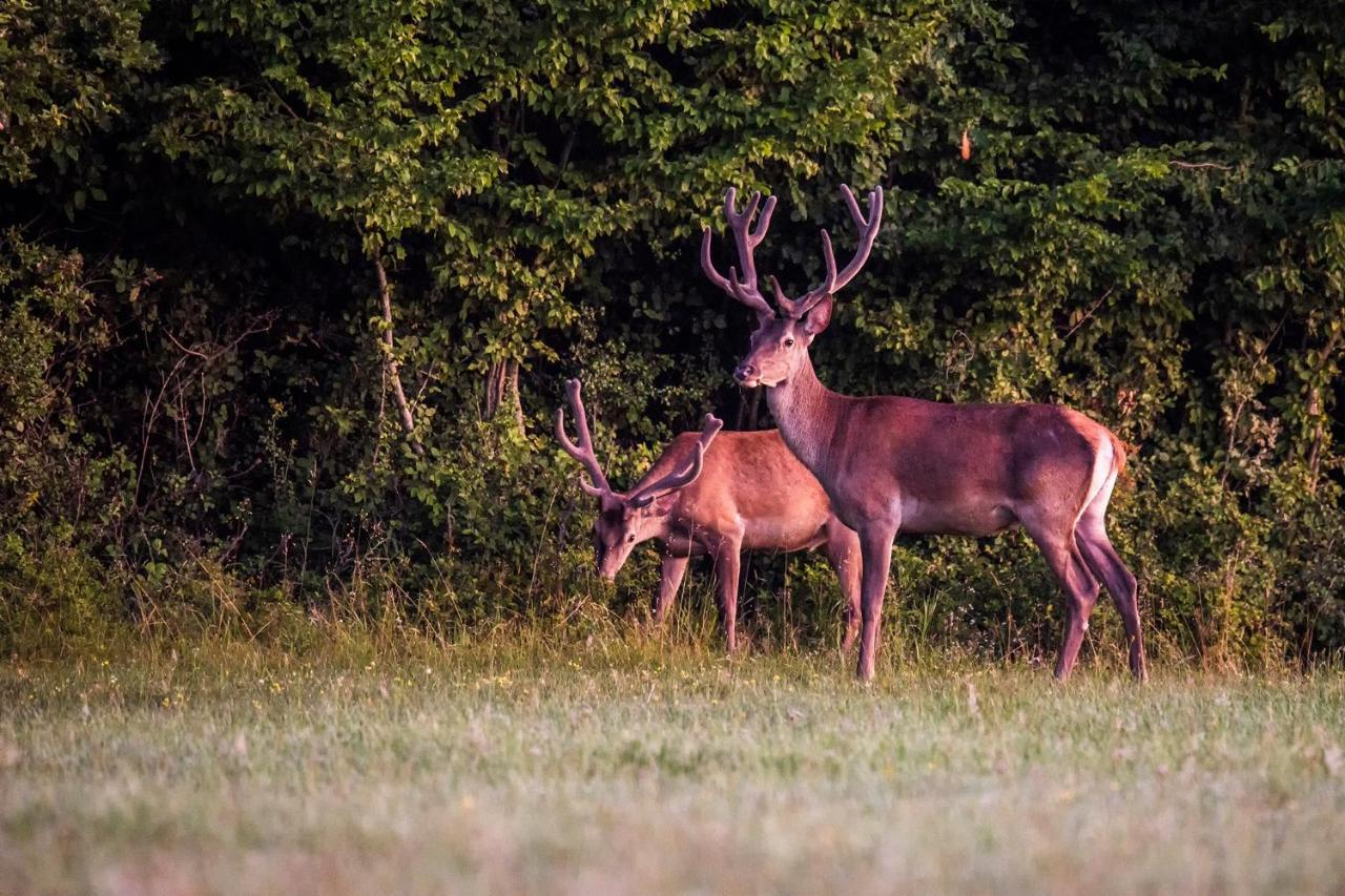 Naturpark Vendeghaz Alsoszolnok Екстер'єр фото